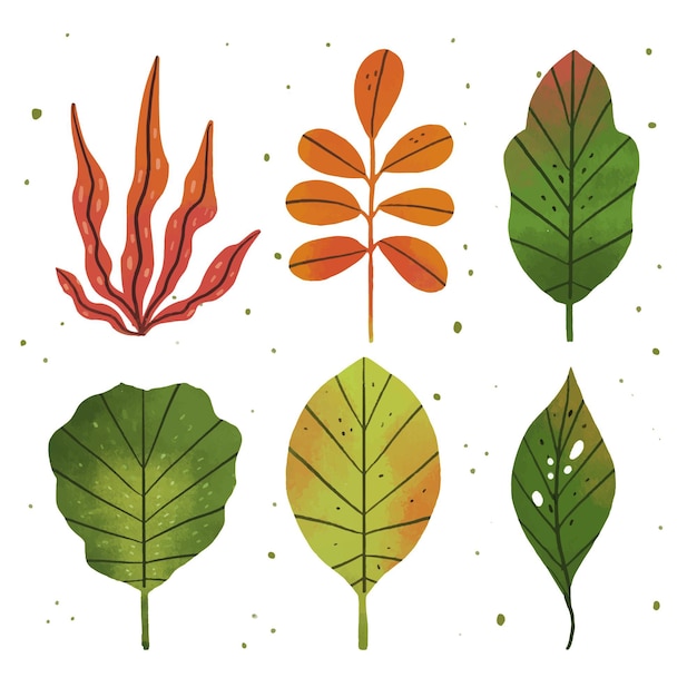 Free vector hand drawn leaves collection