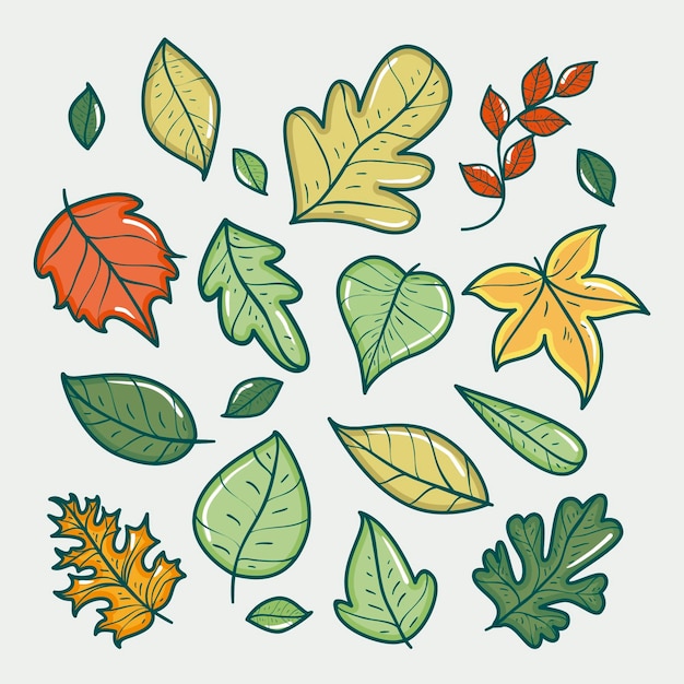 Free vector hand drawn leaves collection