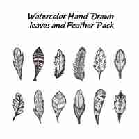 Free vector hand drawn leaves and feathers collection