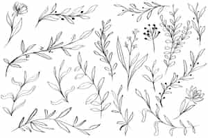 Vettore gratuito foglie disegnate a mano clipart floreali isolate