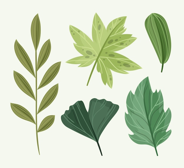 Бесплатное векторное изображение Нарисованная рукой иллюстрация листьев