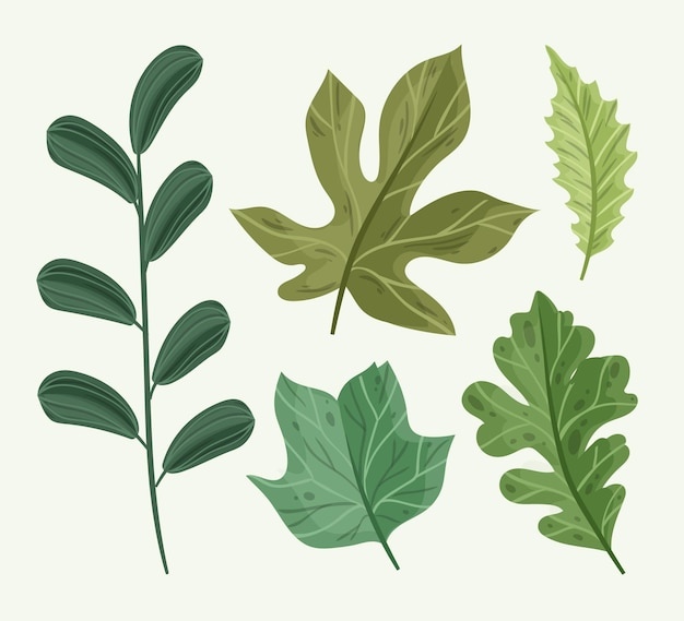 Hand drawn leaves illustration