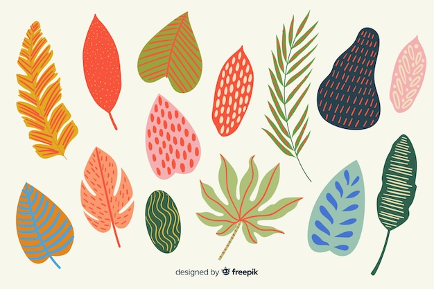 Free Vector hand drawn leaves pack