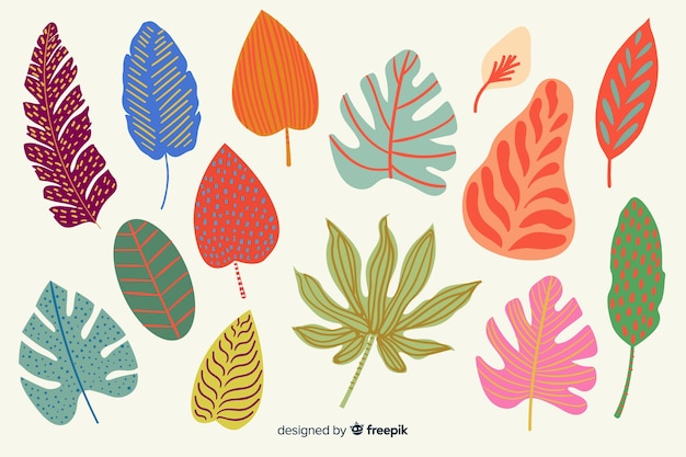 Hand drawn leaves pack