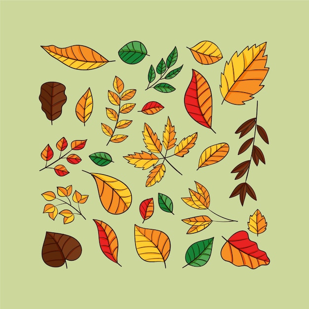 Free vector hand drawn leaves in various shapes