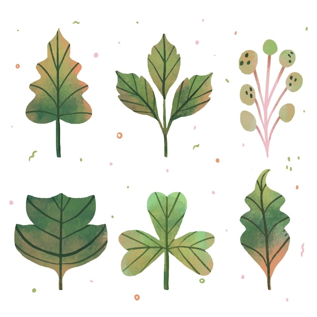 Hand drawn leaves in various shapes