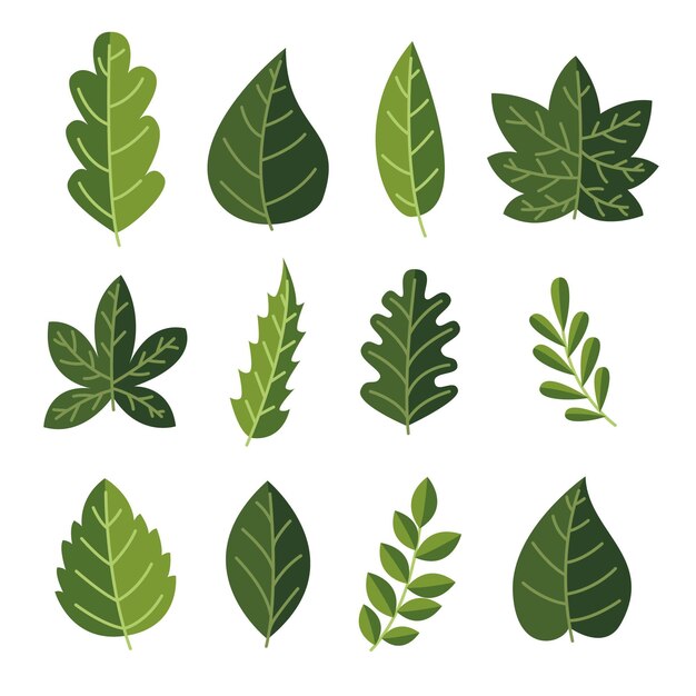 Leaves Png Images – Browse 1,442,277 Stock Photos, Vectors, and