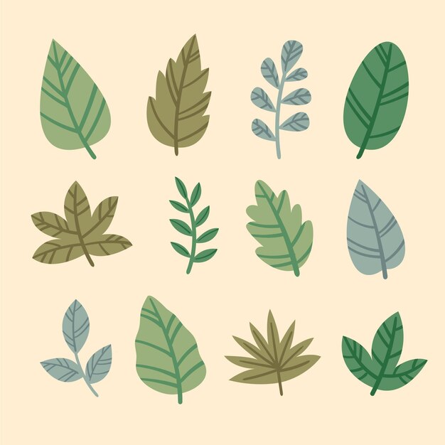 Hand drawn leaves in various shapes