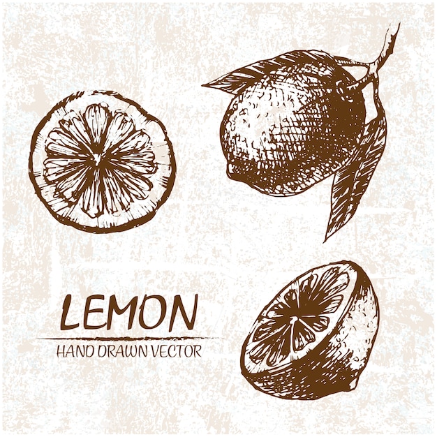 Hand drawn lemon design