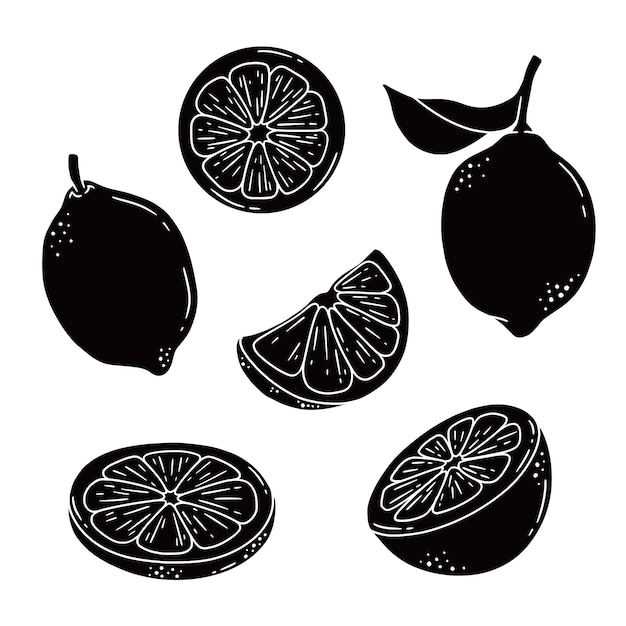 Бесплатное векторное изображение Нарисованная рукой иллюстрация силуэта лимона