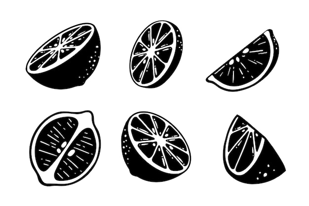 Free vector hand drawn lemon silhouette illustration