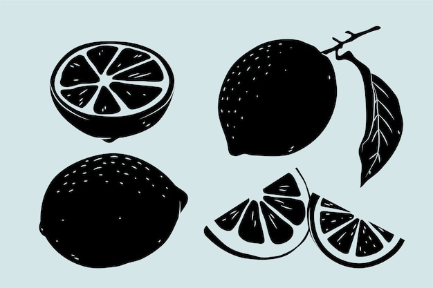 Free vector hand drawn lemon  silhouette