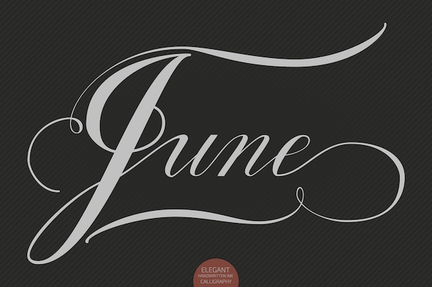 Free vector hand drawn lettering june. elegant modern handwritten calligraphy. vector ink illustration.