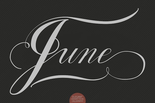 Free Vector Hand Drawn Lettering June Elegant Modern Handwritten Calligraphy Vector Ink Illustration