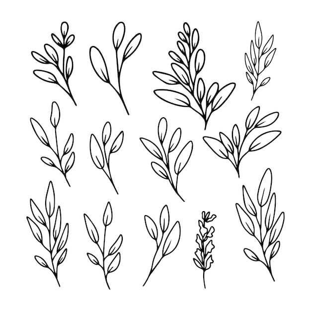 Free vector hand drawn line art floral decorative elements, leaves, flowers, herbs and branches botanical doodle