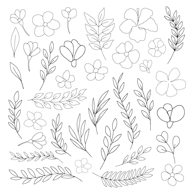 Hand drawn line art floral decorative elements, leaves, flowers, herbs and branches botanical doodle