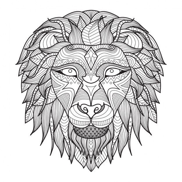 Hand drawn lion background