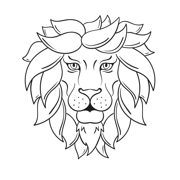 Hand drawn lion outline illustration
