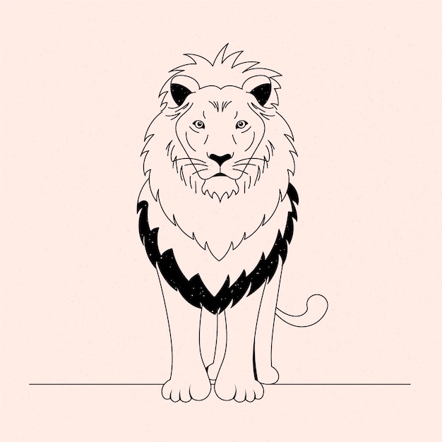 Hand drawn lion outline illustration