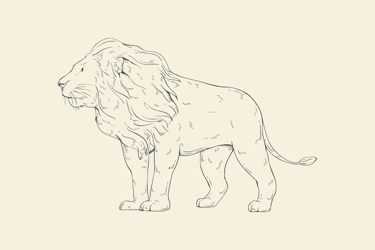 Free Vector hand drawn lion outline illustration