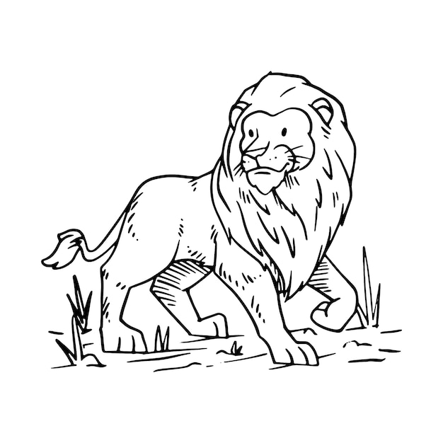 Hand drawn lion outline illustration