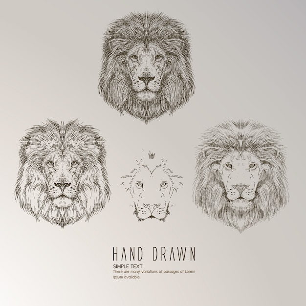 手描きのライオンの頭