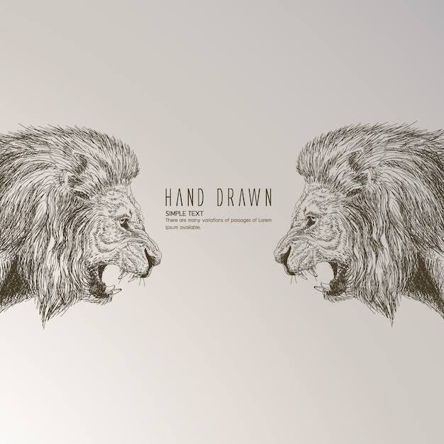 Free vector hand drawn lion