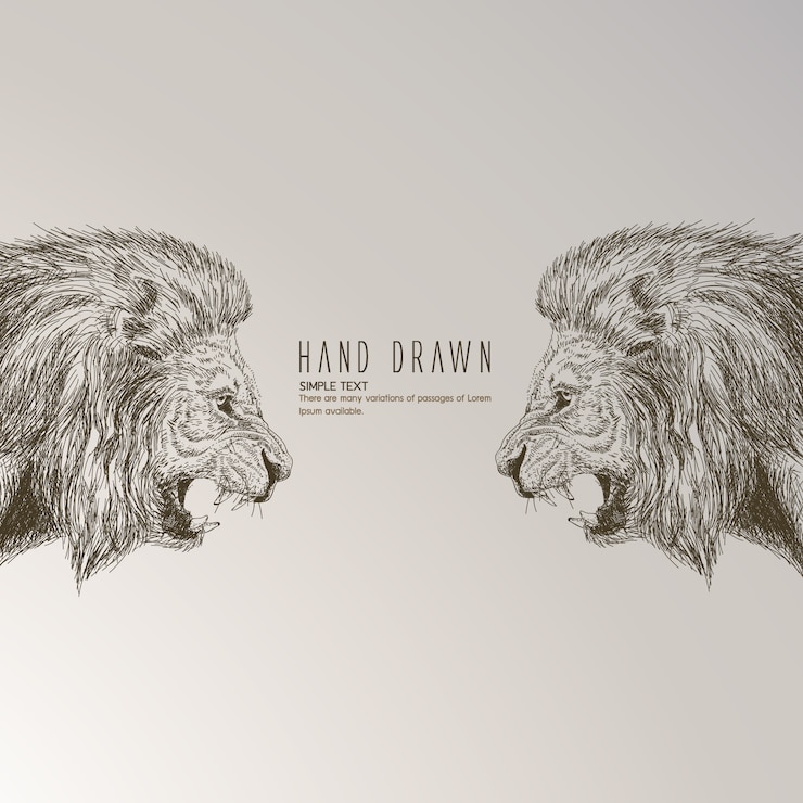 Free Vector hand drawn lion