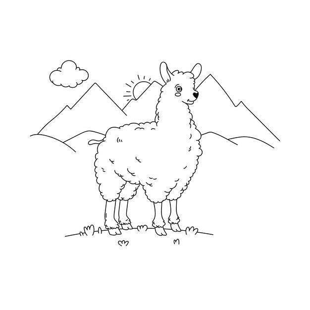 Hand drawn llama outline illustration