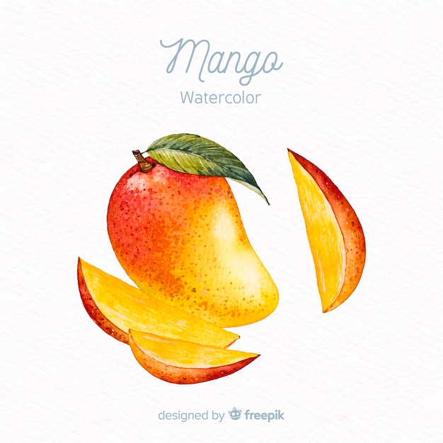 Hand drawn mango background