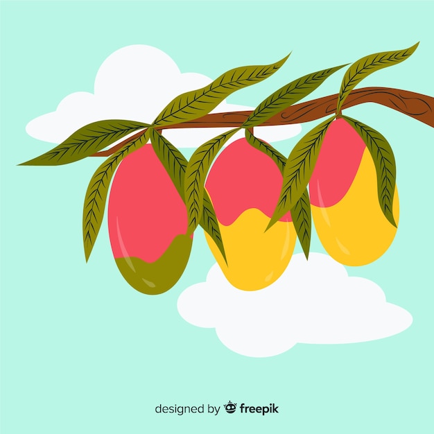 Free vector hand drawn mango background