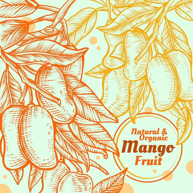 Hand drawn mango fruits with leaves