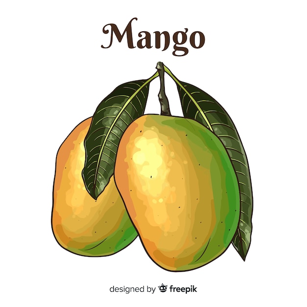 Vettore gratuito mango disegnato a mano