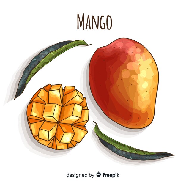 Hand drawn mango