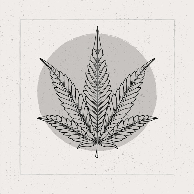 Hand drawn marijuana leaf outline illustration