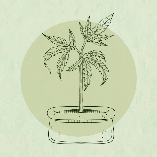 Иллюстрация очертаний листьев марихуаны, нарисованная вручную