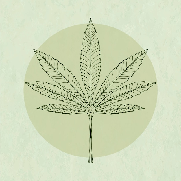 Vettore gratuito illustrazione del contorno di una foglia di marijuana disegnata a mano