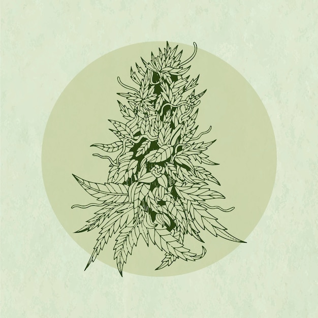 Иллюстрация очертаний листьев марихуаны, нарисованная вручную