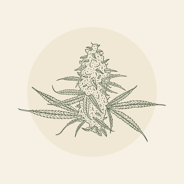 손으로 그린 마리화나 잎 윤 일러스트레이션