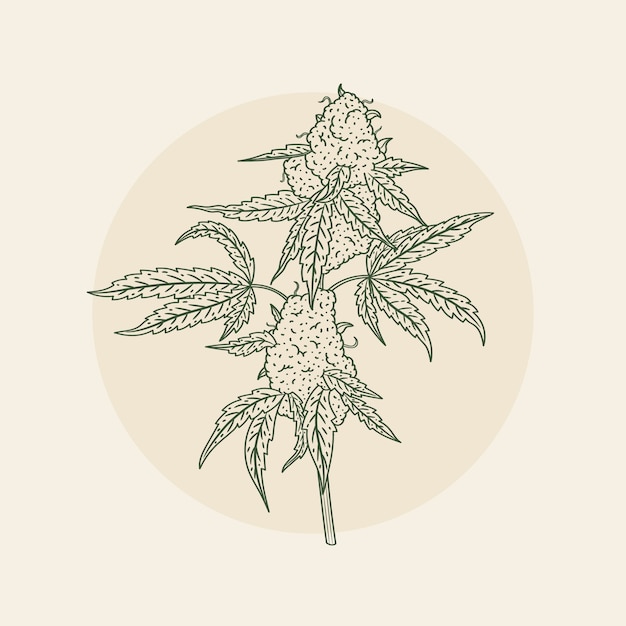 Free vector hand drawn marijuana leaf outline illustration