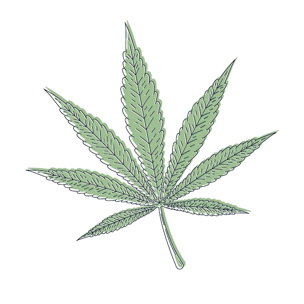 Vettore gratuito illustrazione disegnata a mano del profilo della foglia di marijuana