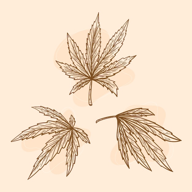 Hand drawn marijuana leaf outline illustration