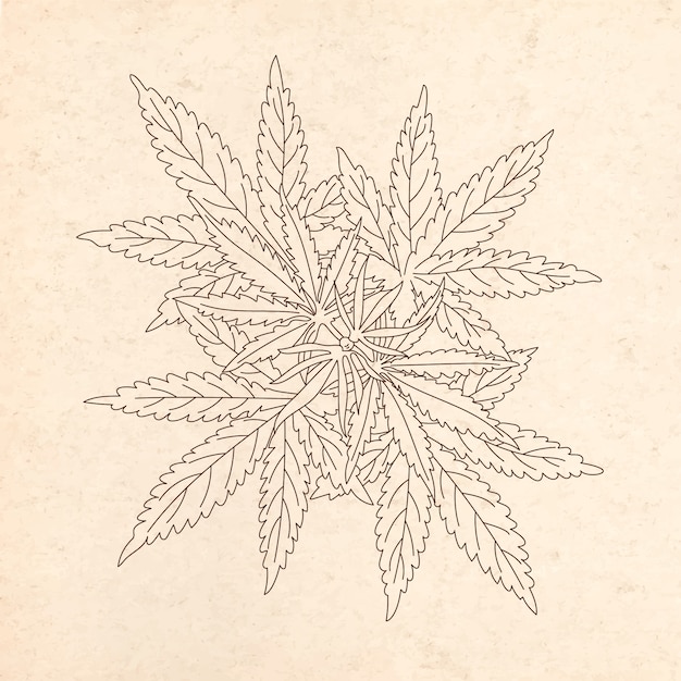 Hand drawn marijuana leaf outline illustration