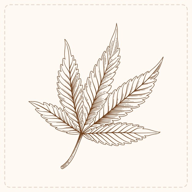 hand drawn marijuana leaf outline illustration
