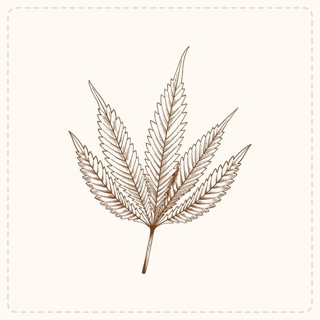 hand drawn marijuana leaf outline illustration