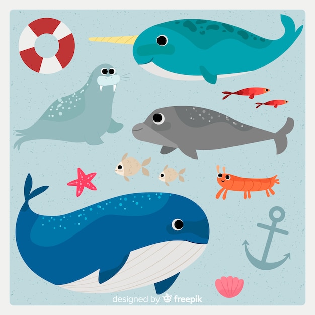 Hand drawn marine life character collection