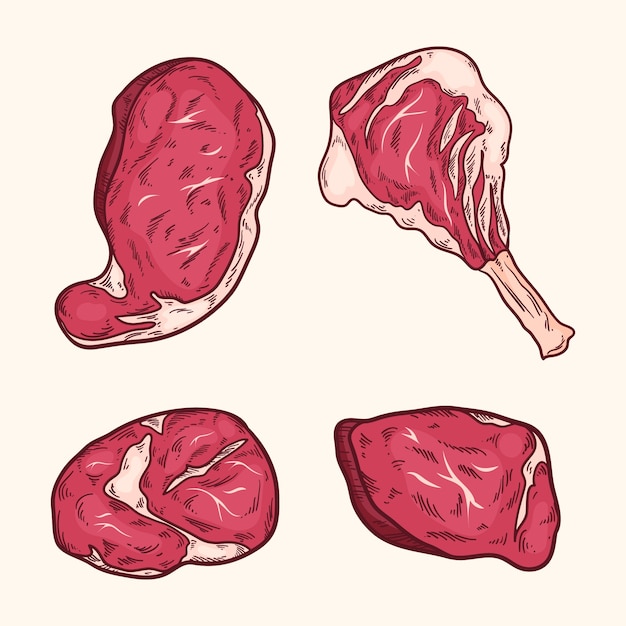 Illustrazione di un disegno di carne disegnato a mano