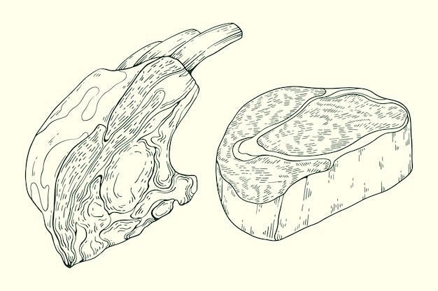 Vettore gratuito illustrazione di un disegno di carne disegnato a mano