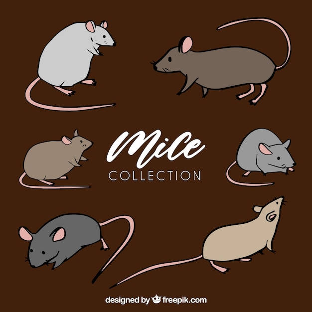 Hand drawn mice collection