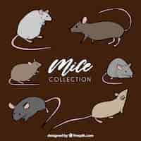 Free vector hand drawn mice collection